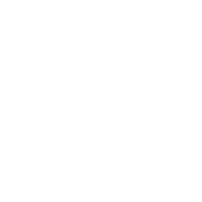 element_24